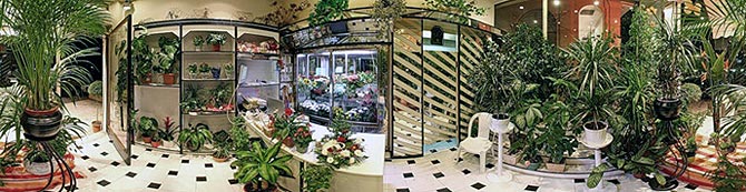 Магазин цветов в Красноярске