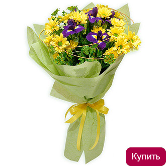 Букет желтые хризантемы и ирисы